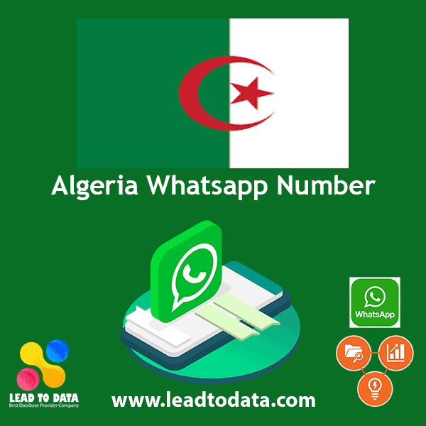 Algeria WhatsApp Number List