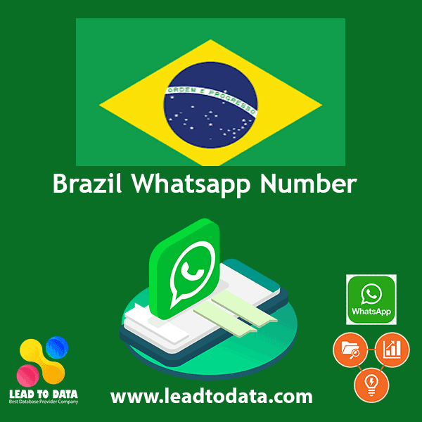 Brazil WhatsApp Number List