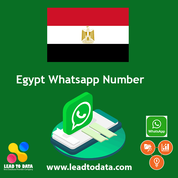 Egypt WhatsApp Number List