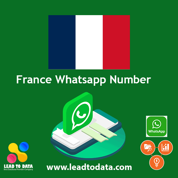 France WhatsApp Number List