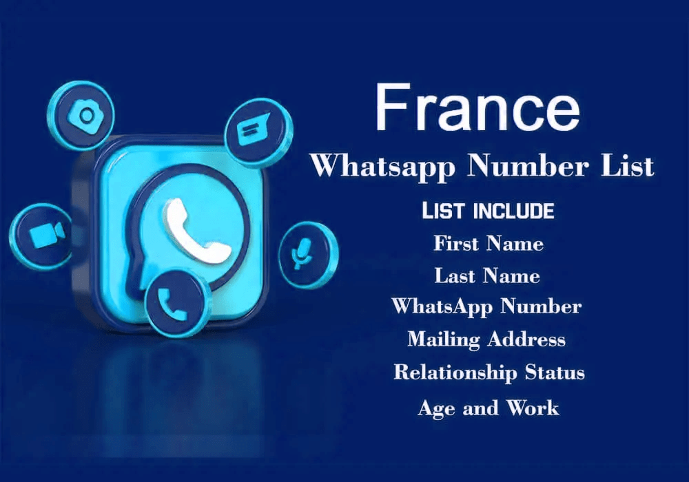 France WhatsApp Number Data