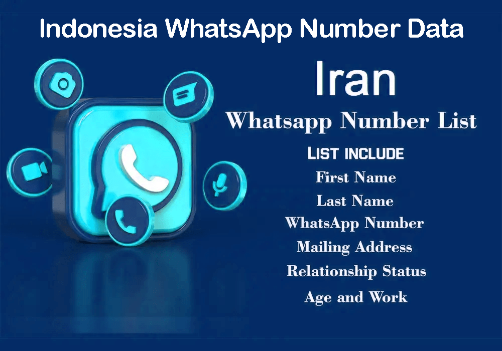 WhatsApp Number Data